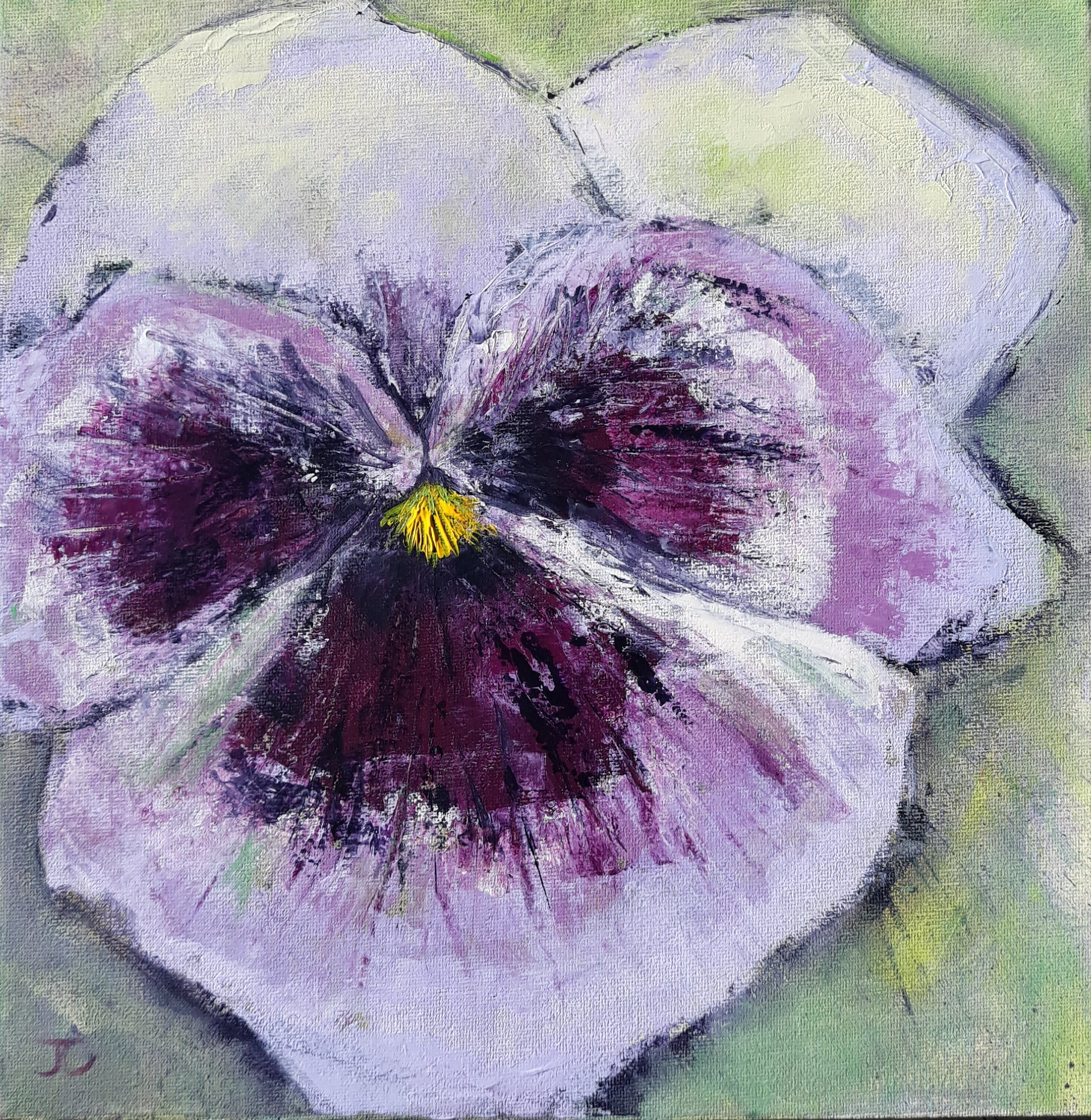 Pansy